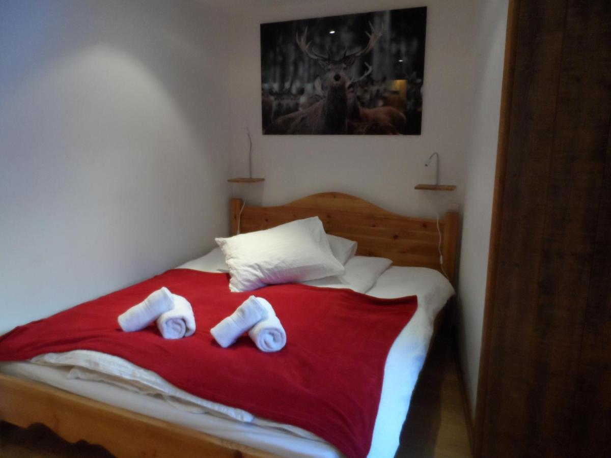 Prachtig Familie Appartement Voor 6 Personen In Het Hart Van Argentiere, Chamonix Mont-Blanc 외부 사진